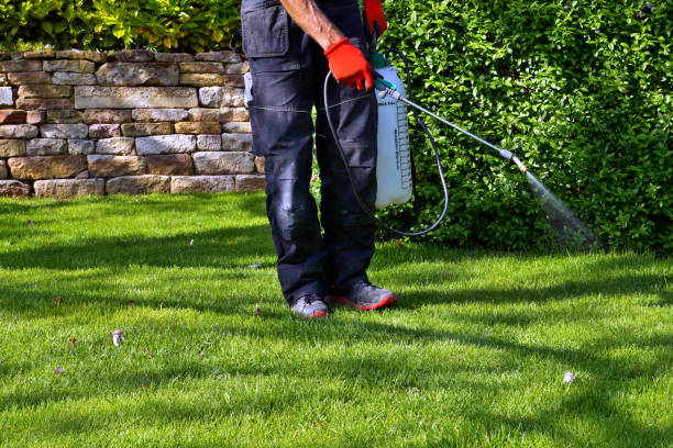 Lawn Pest Control in Edgerton, KS